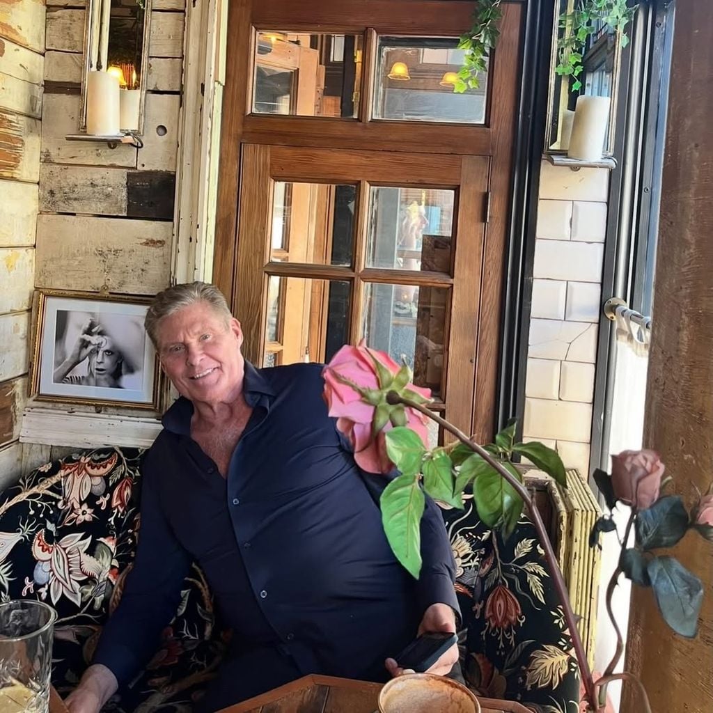 David Hasselhoff, Mai 2026