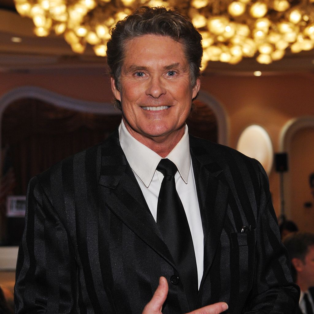 David Hasselhoff im Dezember 2009