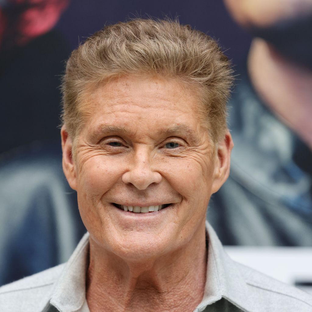 David Hasselhoff, Sänger und Schauspieler