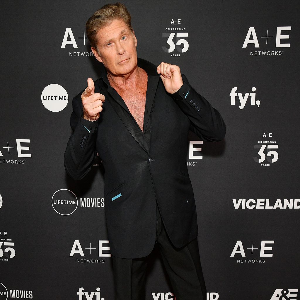 David Hasselhoff, Schauspieler und Sänger