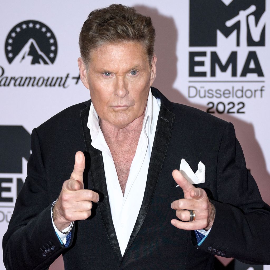David Hasselhoff, 2022
