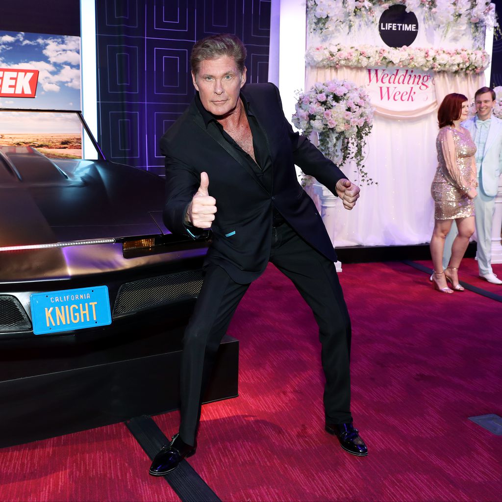 David Hasselhoff, Schauspieler
