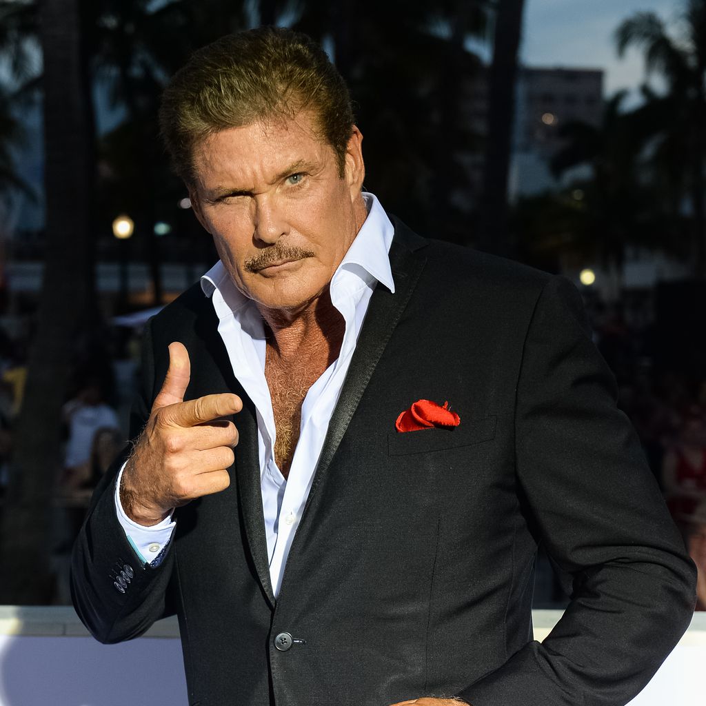 David Hasselhoff 2017 in Miami
