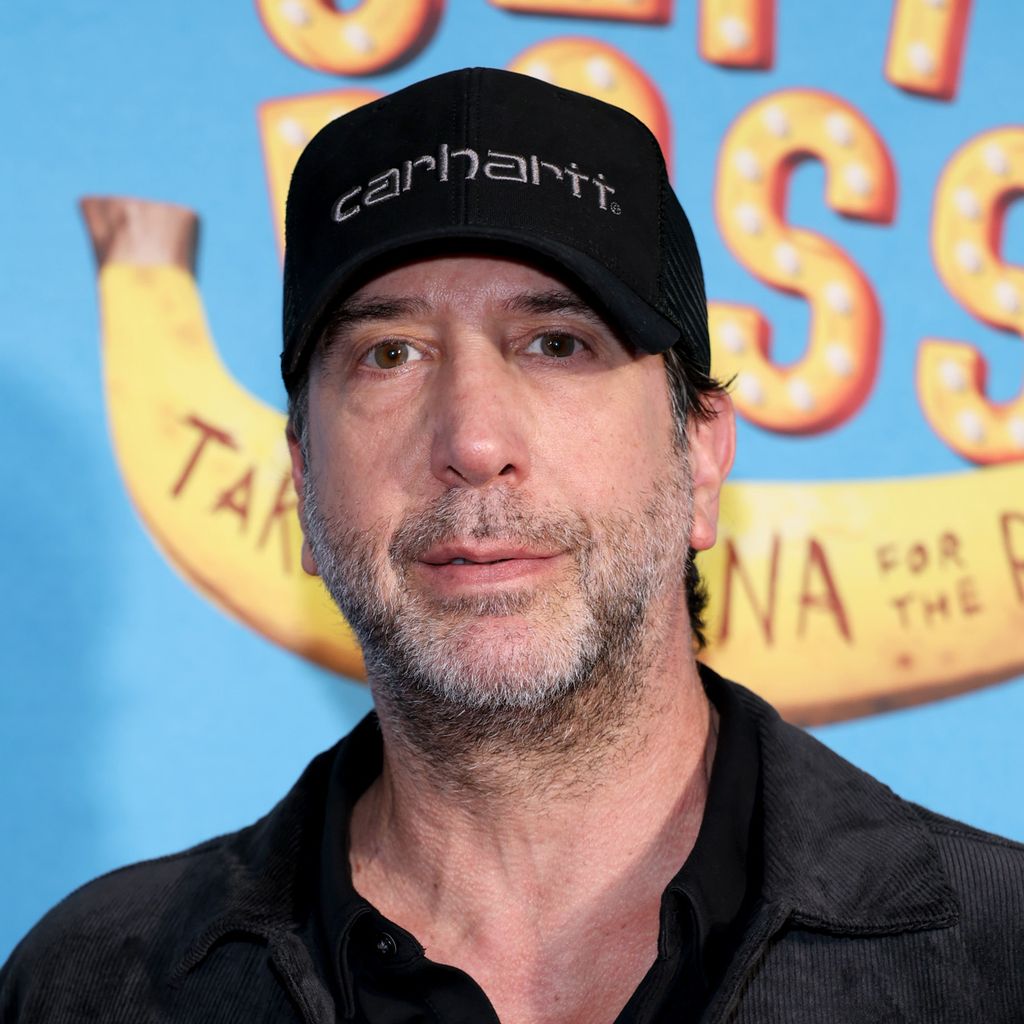 David Schwimmer bei der Premiere von "Jeff Ross: Take A Banana For The Ride"