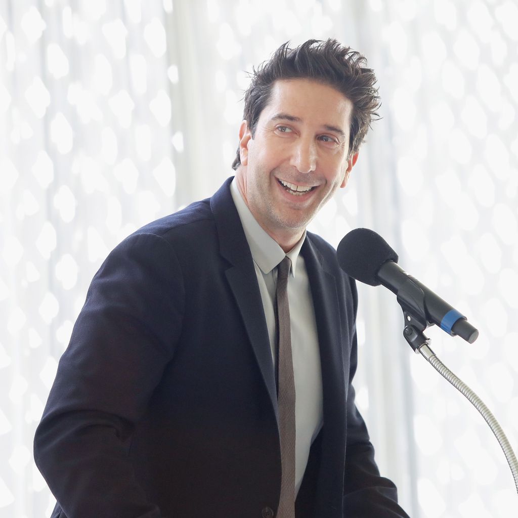 David Schwimmer, Schauspieler