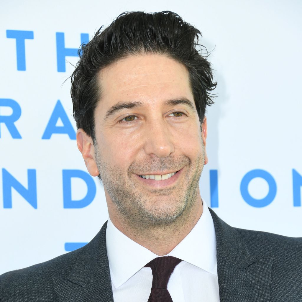 Schauspieler David Schwimmer