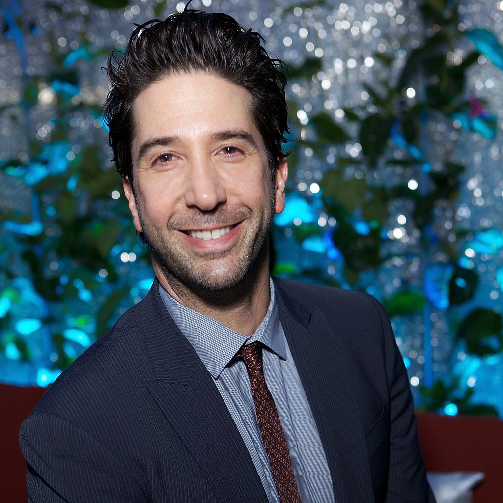 David Schwimmer, "Friends"-Darsteller