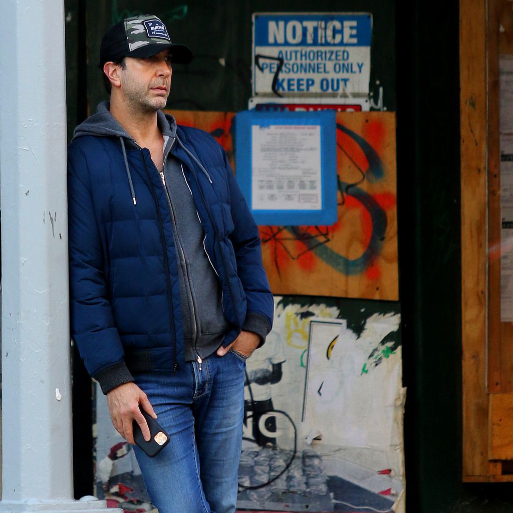 David Schwimmer, Schauspieler