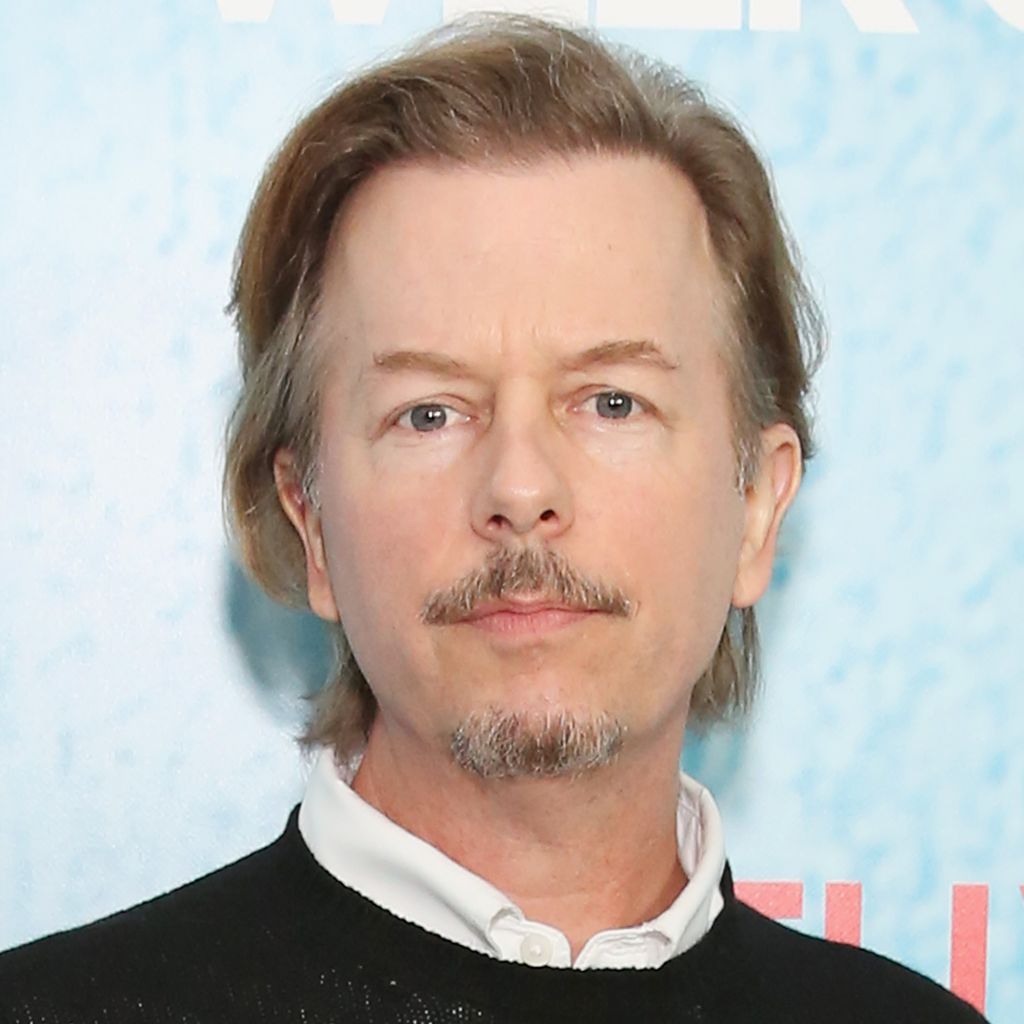 David Spade auf der Weltpremiere des Netflix-Films "The Week Of"