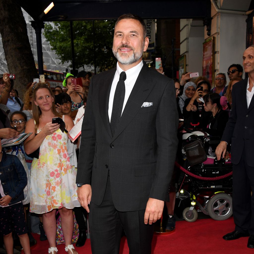 David Walliams, Schauspieler