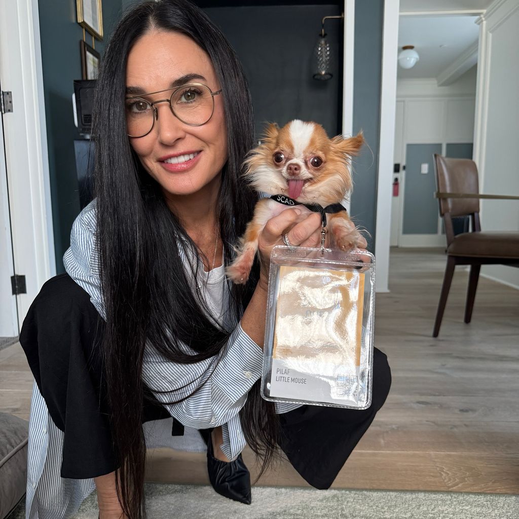 Demi Moore und ihre Hündin Pilaf im Oktober 2024