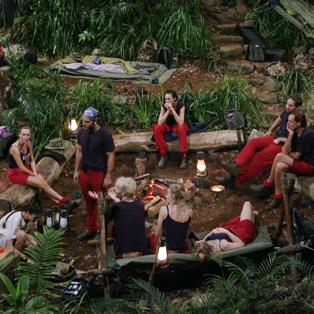 Der Dschungelcamp-Cast 2025