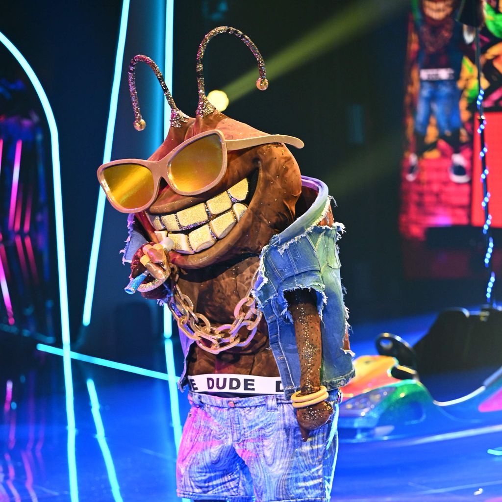 Der Dude bei "The Masked Singer"