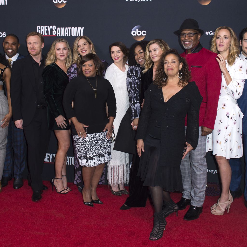 Der "Grey's Anatomy"-Cast