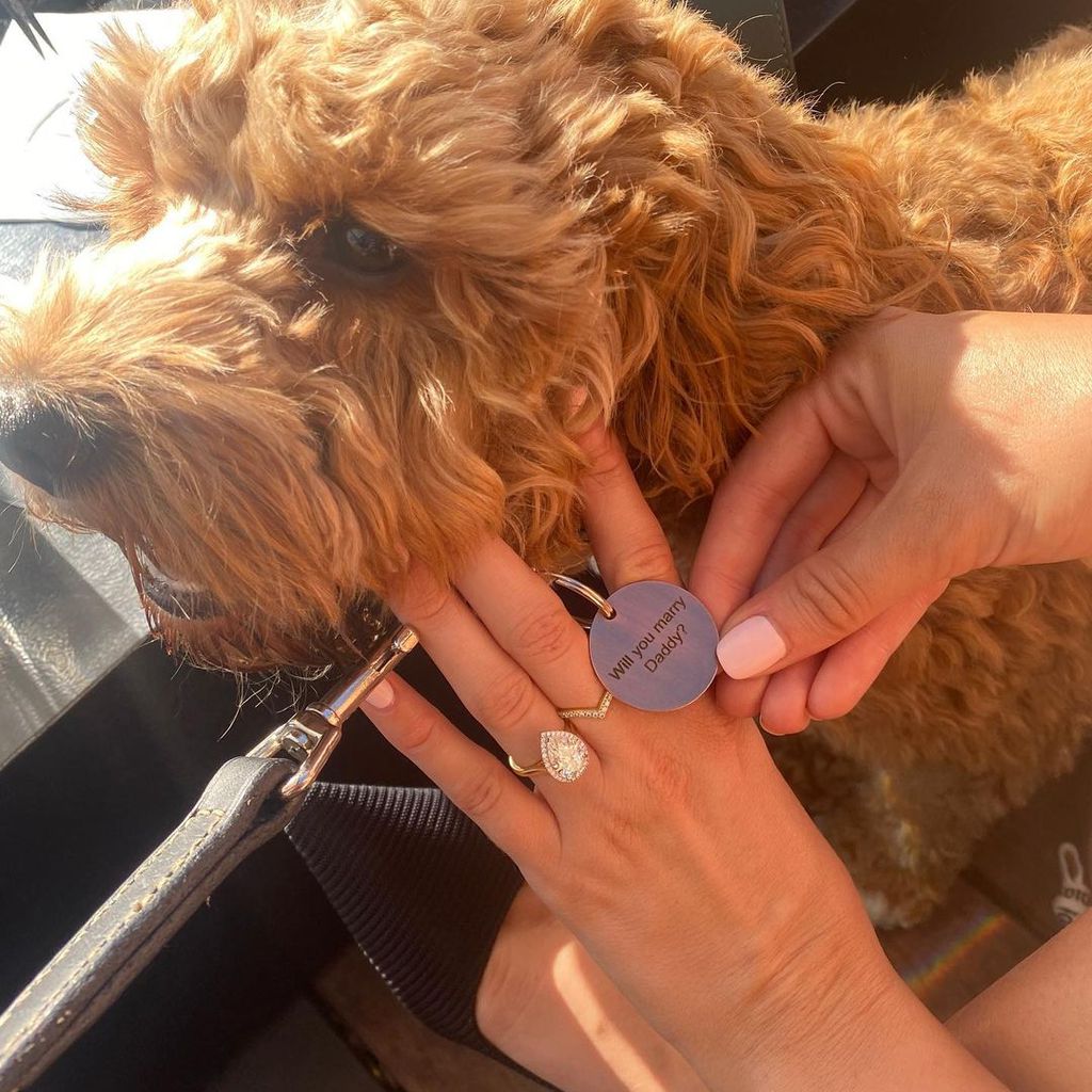 Der Hund von Virginia Gardner