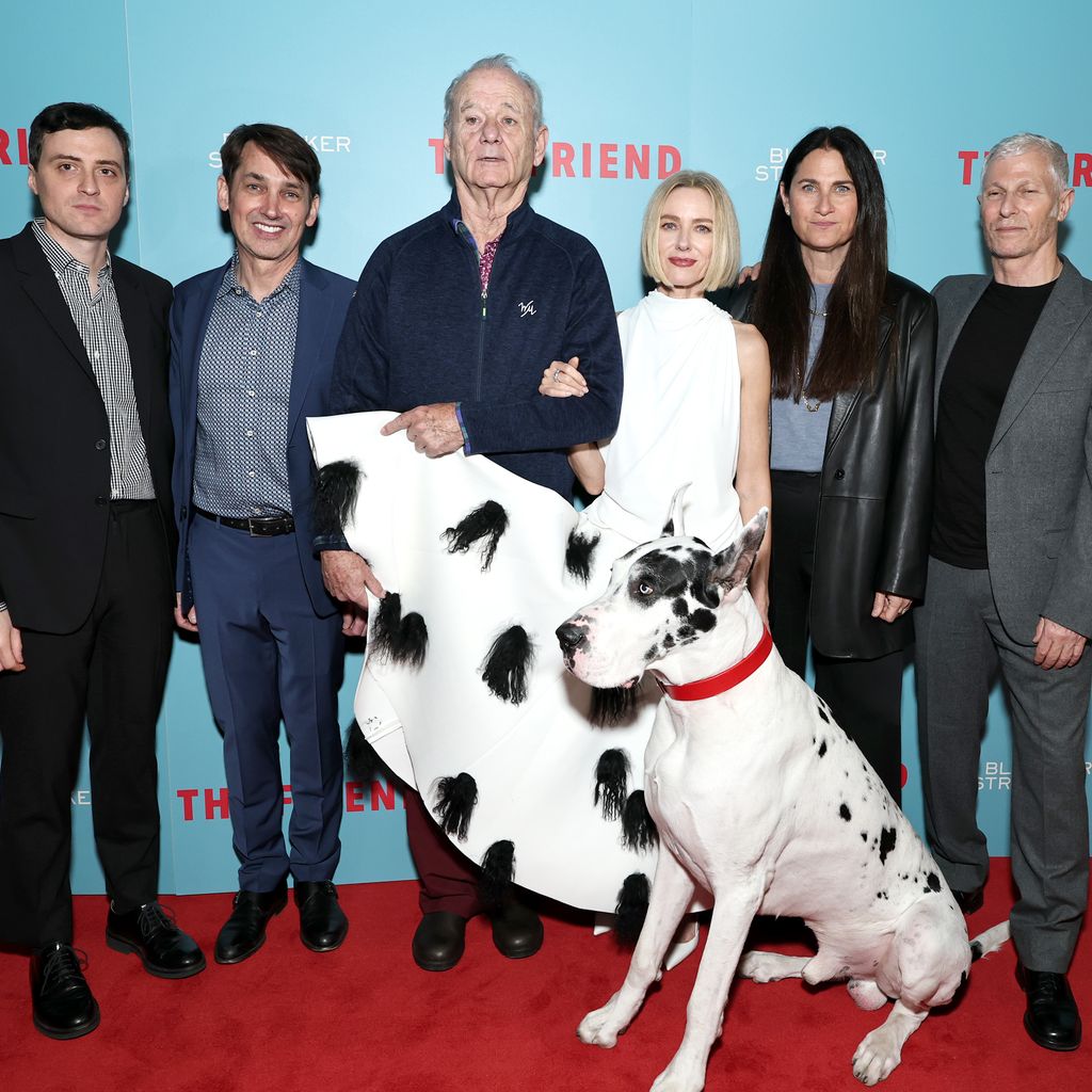 Der "The Friend"-Cast posiert bei der New-York-Premiere im März 2025
