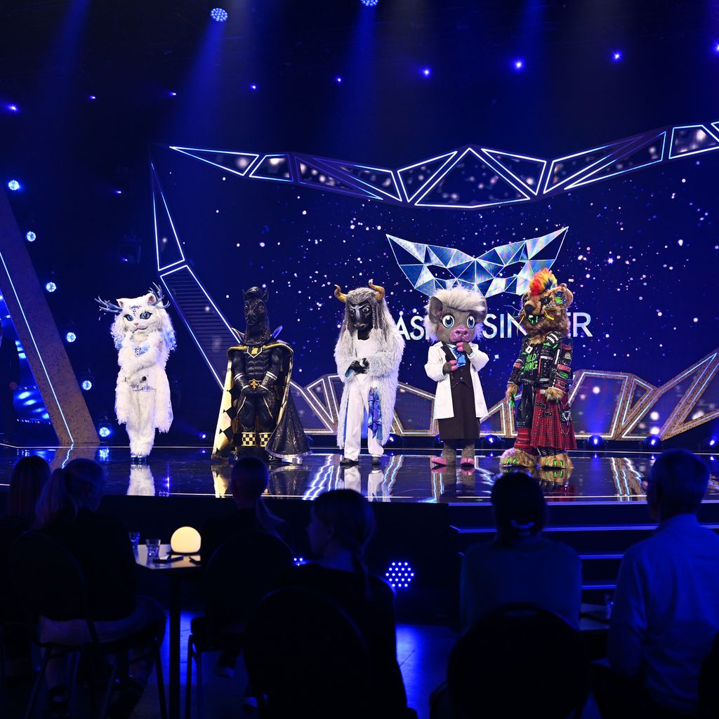 Die Finalisten von "The Masked Singer", 2026