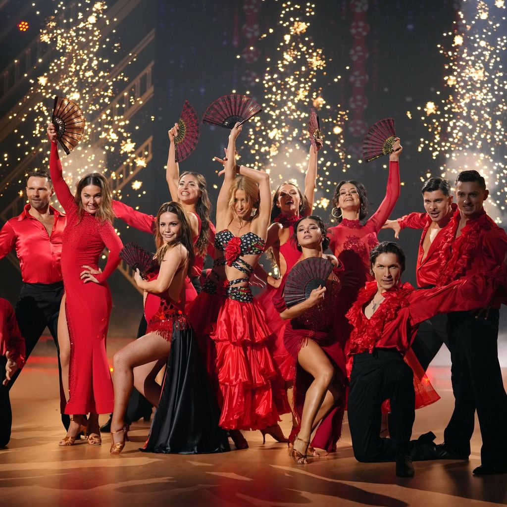 Die "Let's Dance"-Profis 2025