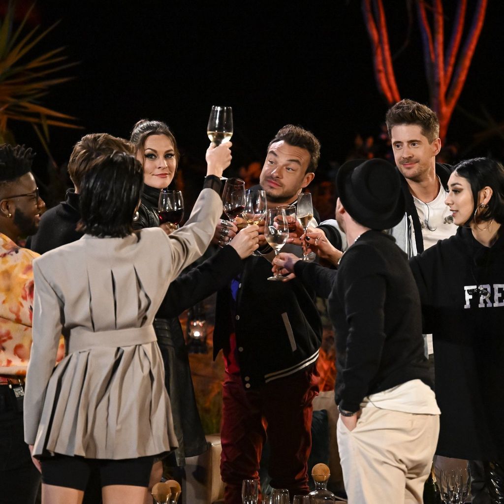 Die "Sing meinen Song"-Stars 2022