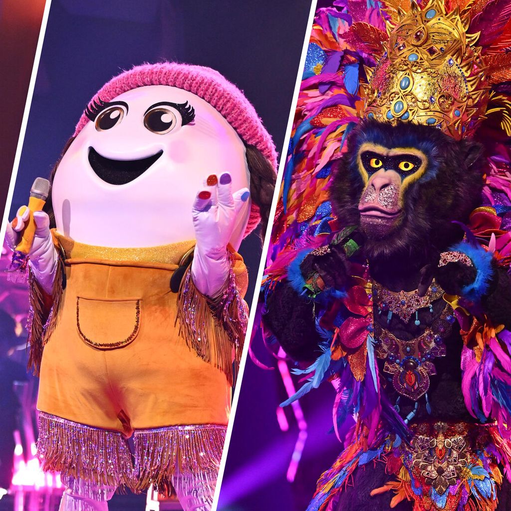 Die "The Masked Singer"-Masken