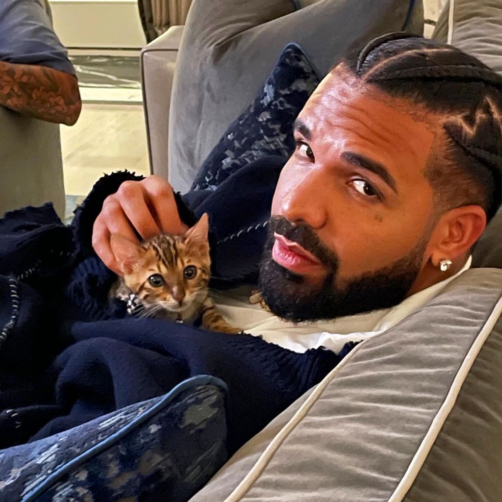 Drake, Musiker