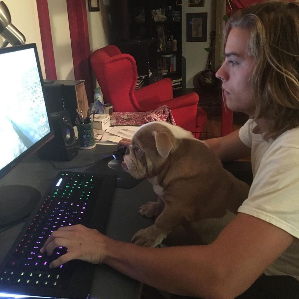 Dylan Sprouse mit seinem Hund
