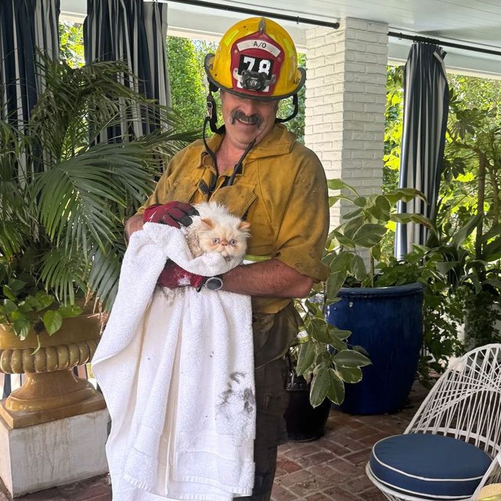 Ein Feuerwehrmann mit Cara Delevingnes Katze, 2024