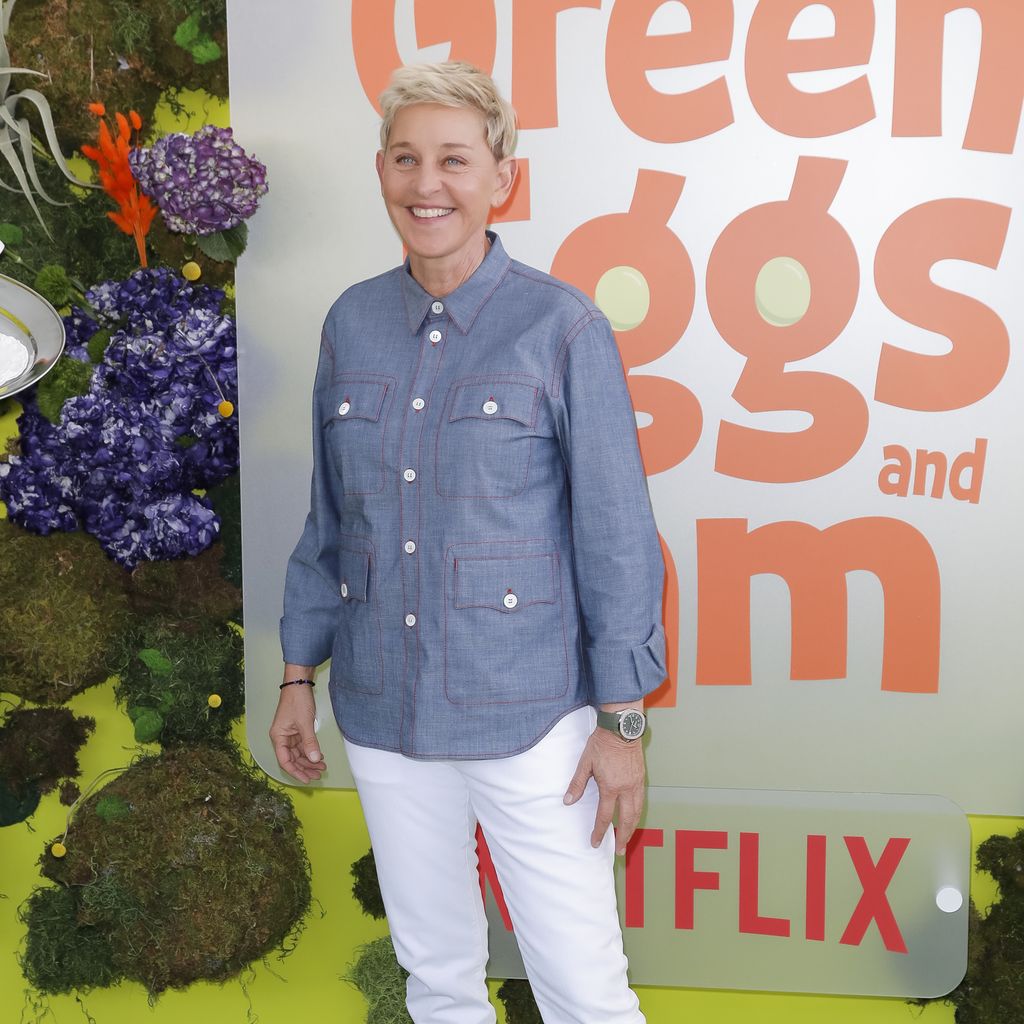 Ellen DeGeneres, Komikerin