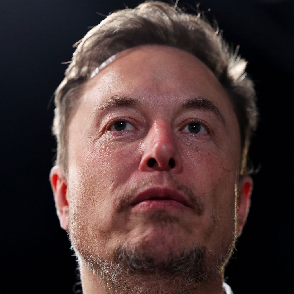 Elon Musk, Unternehmer