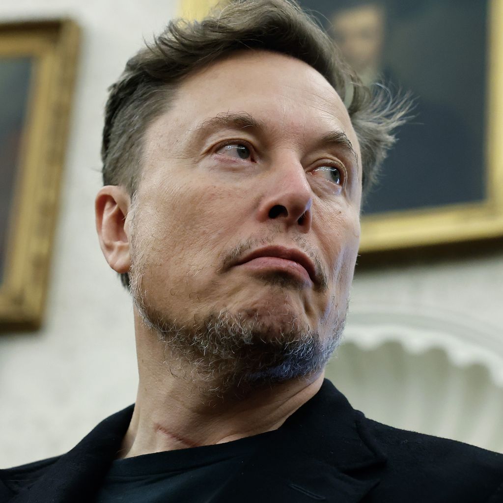 Elon Musk, Unternehmer