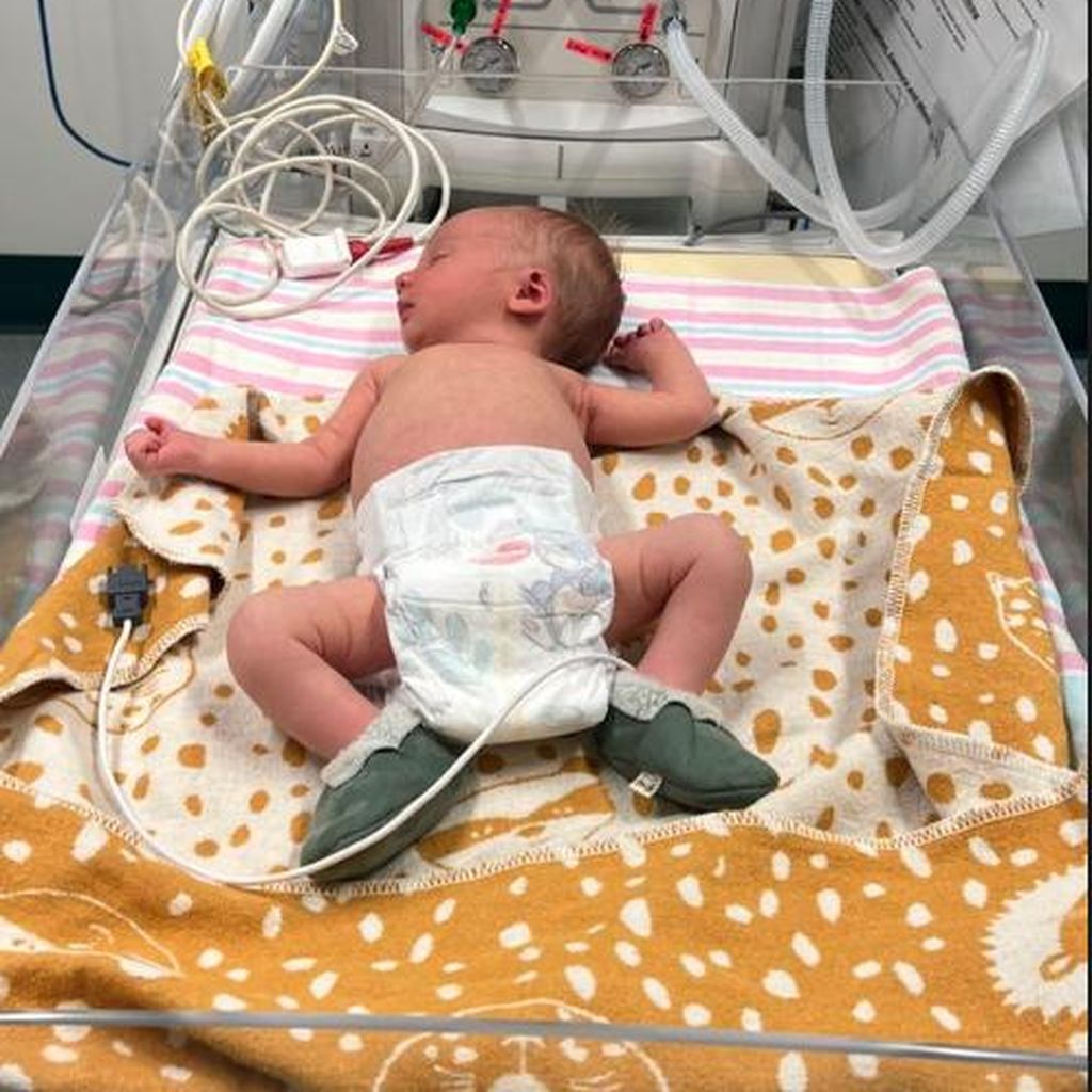 Elyse Knowles' Sohn Zaii