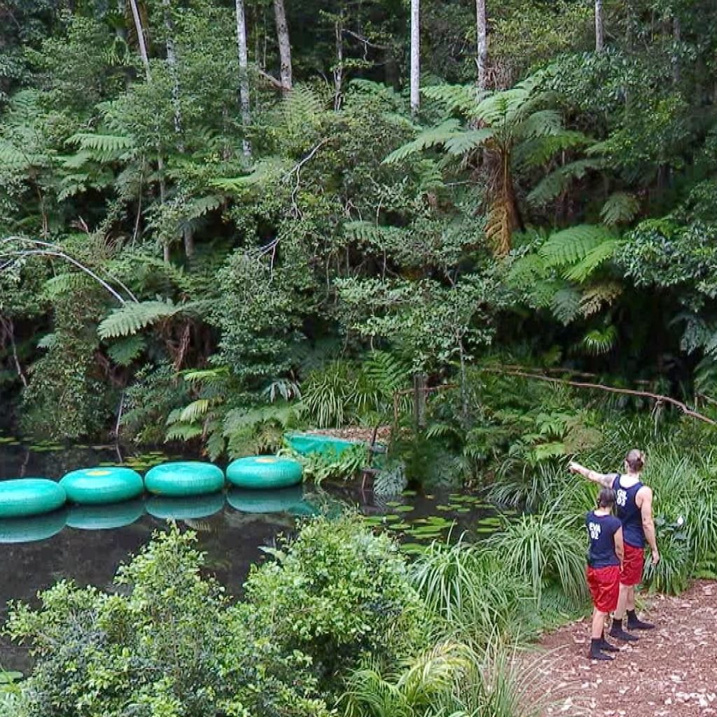 Eva Benetatou und Gil Ofarim im Dschungelcamp 2026