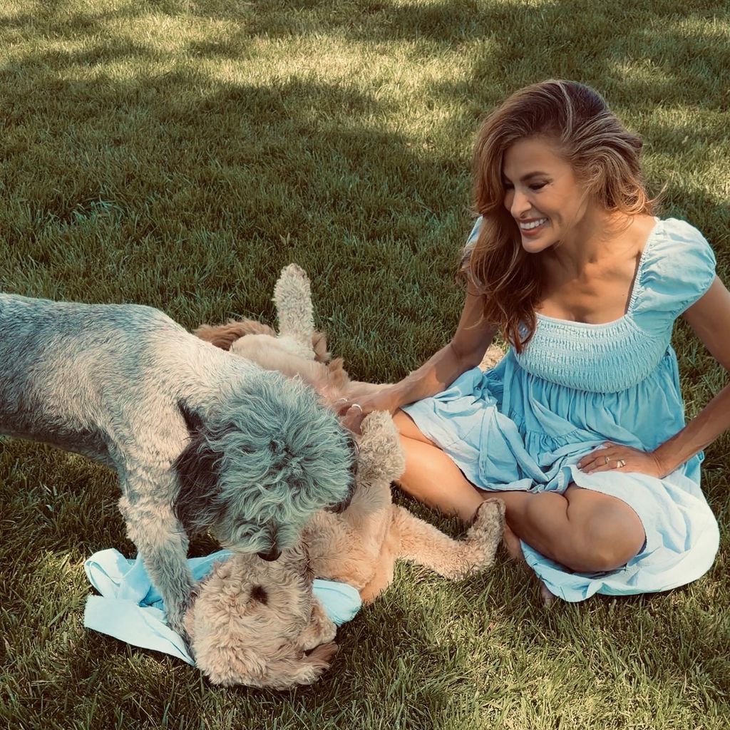 Eva Mendes mit neuem Hund Charlie 2026