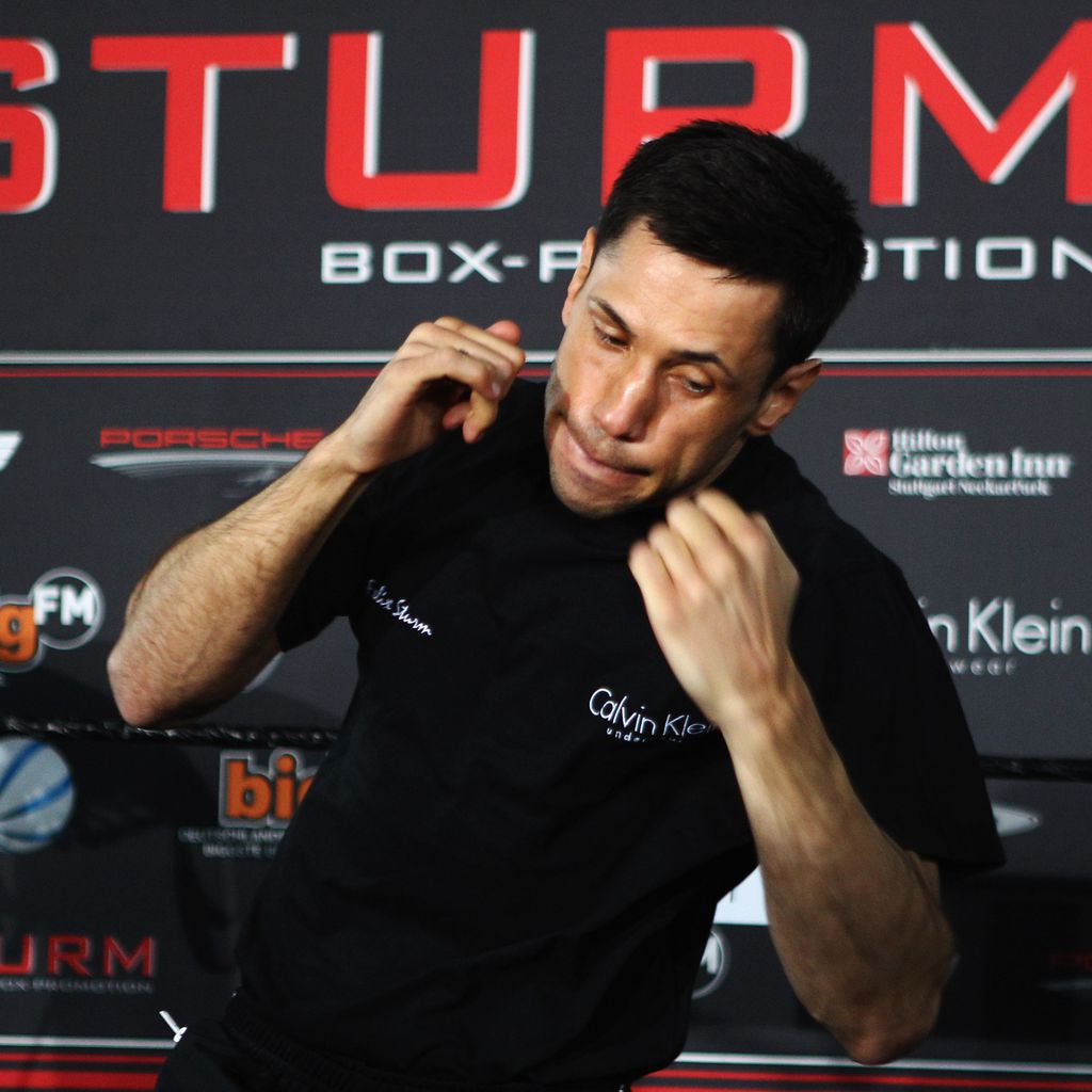 Felix Sturm, Profi-Boxer