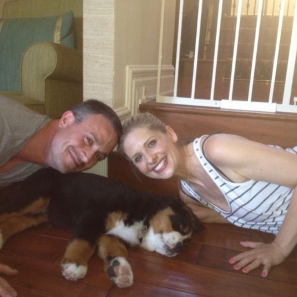 Freddie Prinze Junior und Sarah Michelle Gellar mit ihrer Hündin Bella