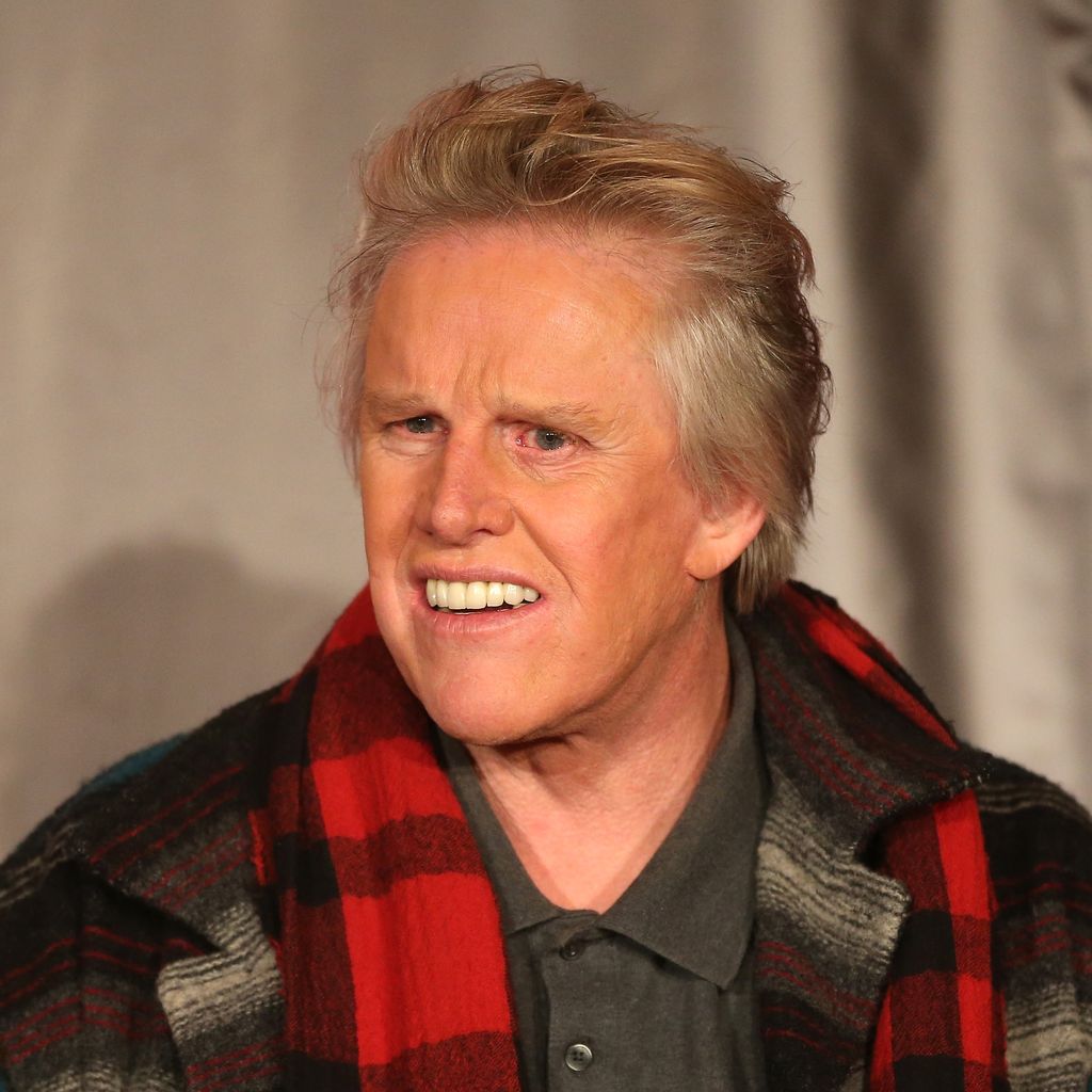 Gary Busey, Schauspieler