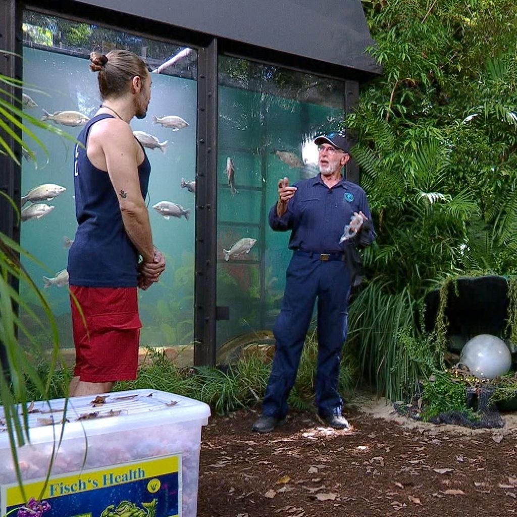 Gil Ofarim, Dr. Bob, Sonja Zietlow und Jan Köppen vor der Dschungelprüfung, 2026