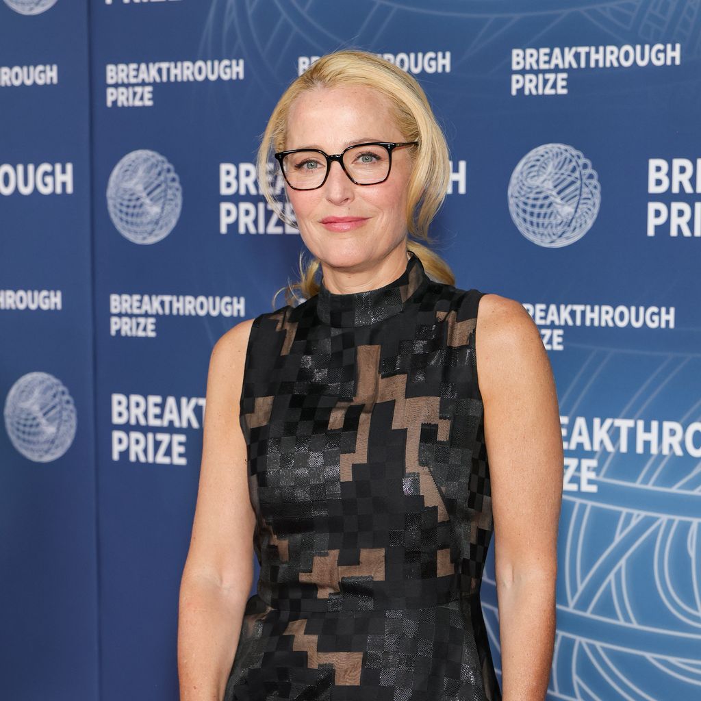 Gillian Anderson, Schauspielerin