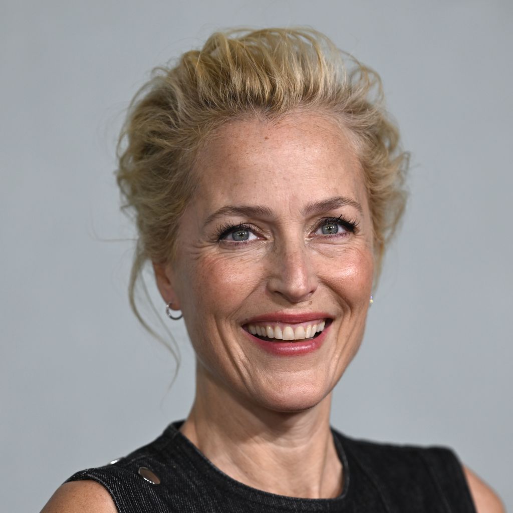 Gillian Anderson, Schauspieler