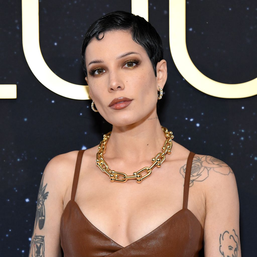 Halsey, Sängerin