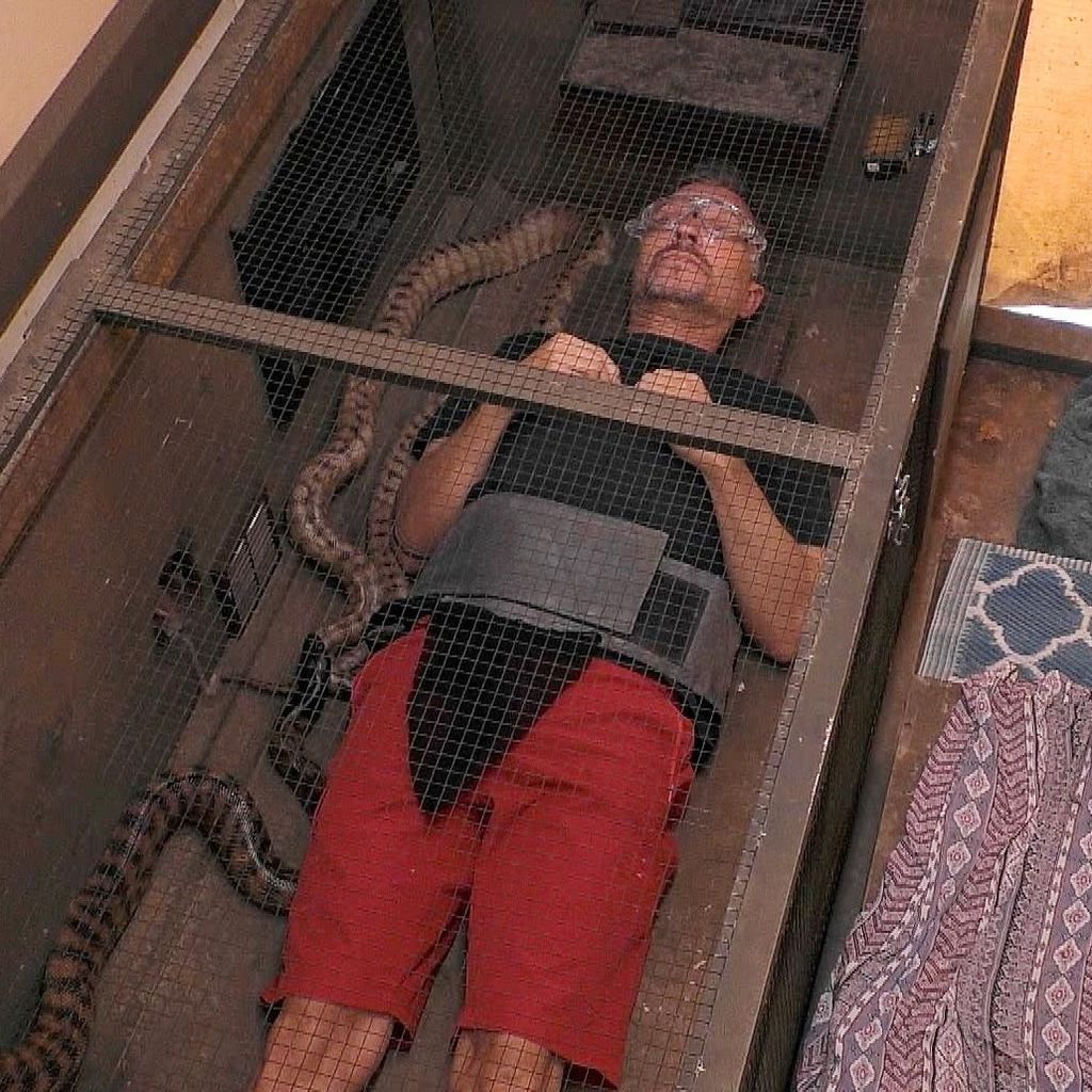 Hardy Krüger jr., Dschungelcamp 2026