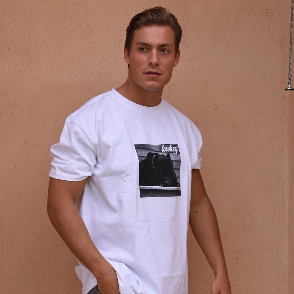 Henrik Stoltenberg, Influencer