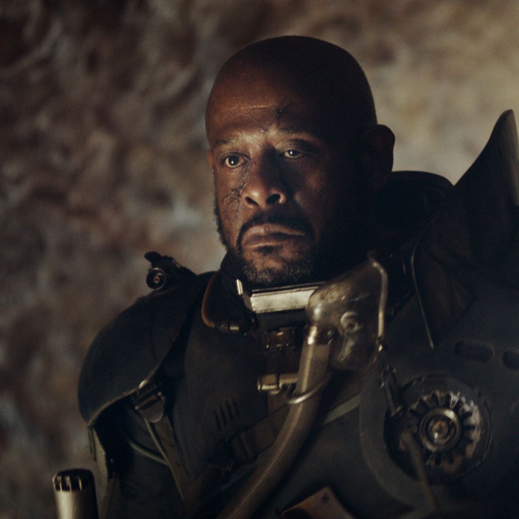 Oscar-Preisträger Forest Whitaker