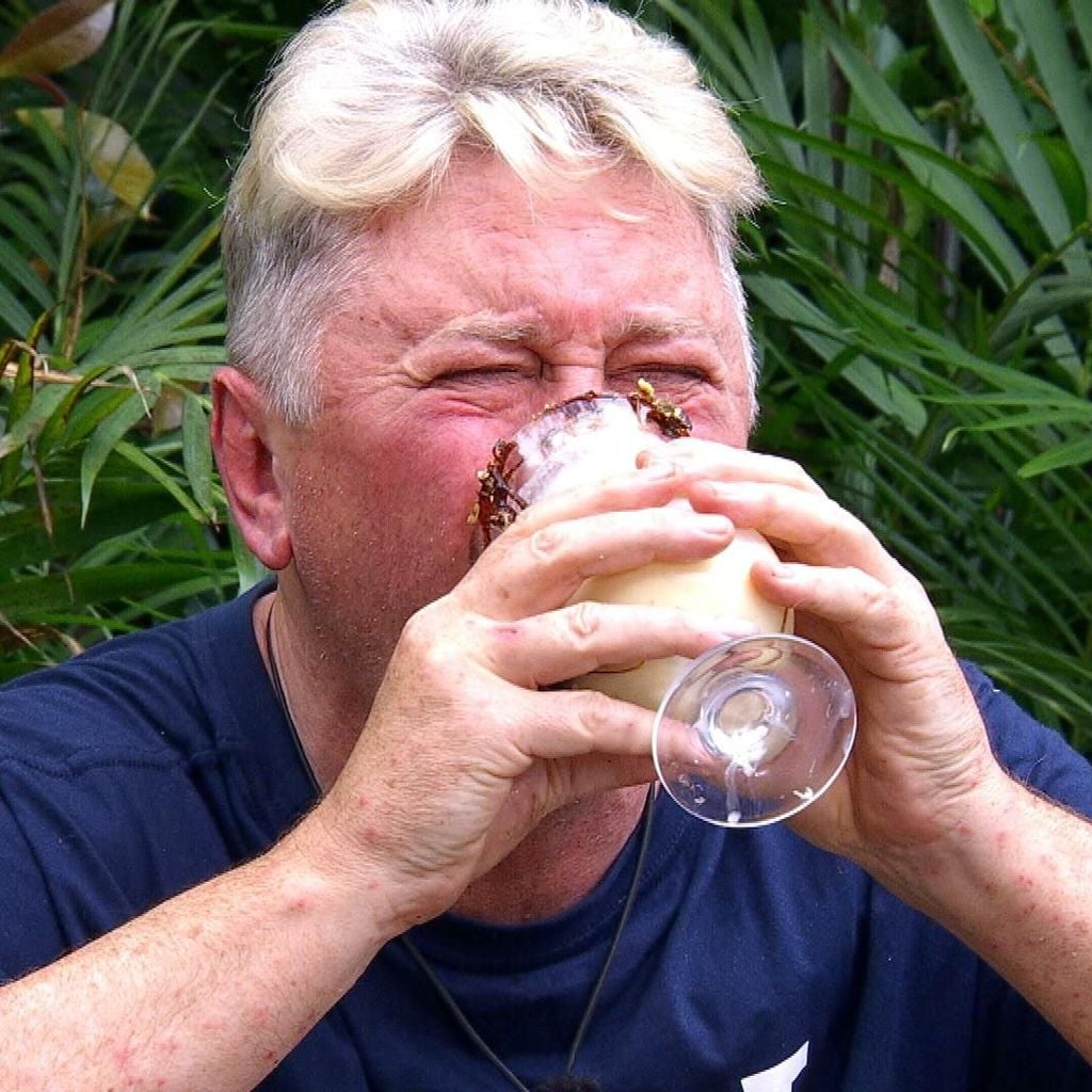 Hubert Fella, Dschungelcamp 2026