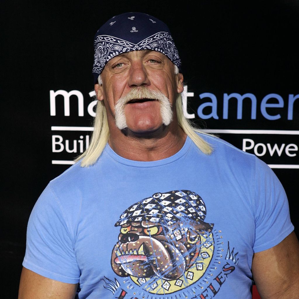 Hulk Hogan, 2007