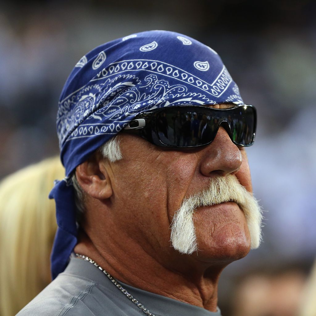 Hulk Hogan, Wrestler