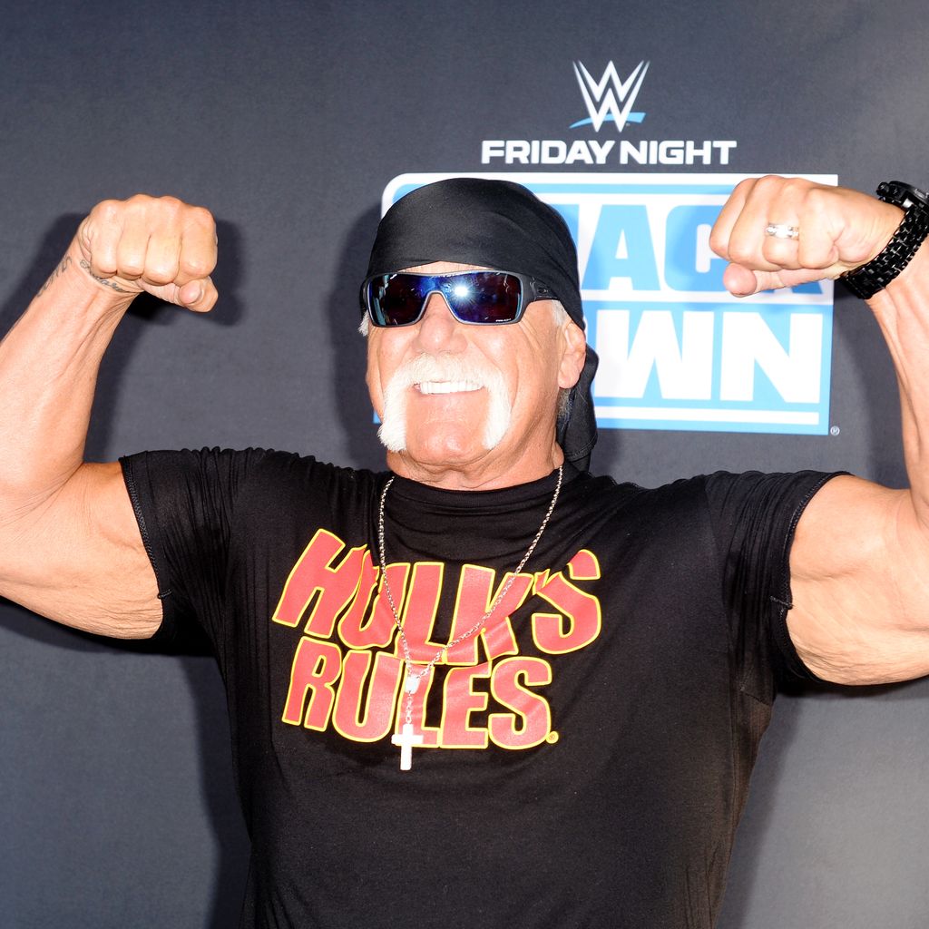 Hulk Hogan, Wrestler