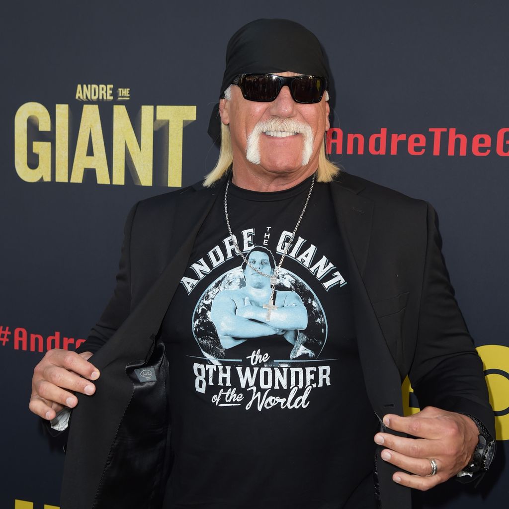 Hulk Hogan, Wrestler