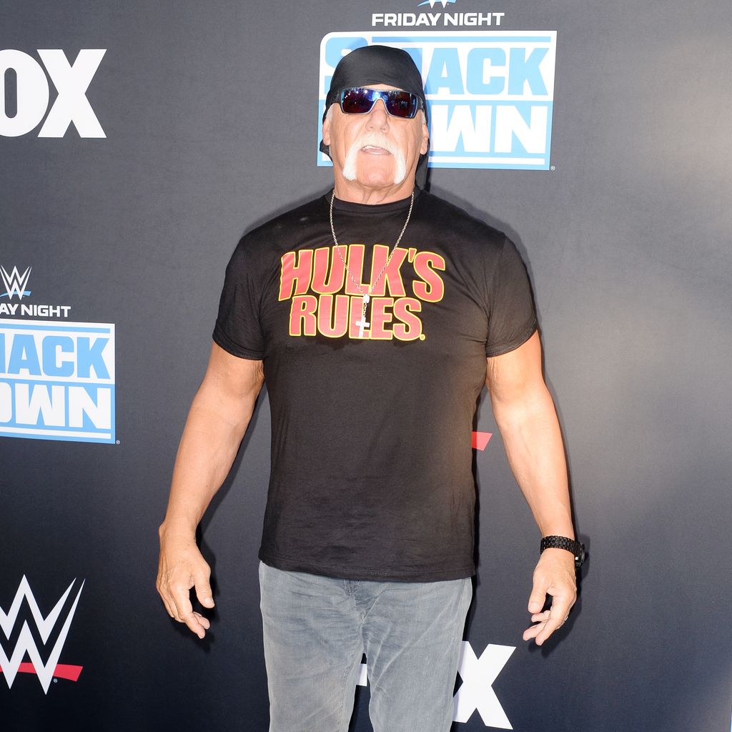 Hulk Hogan, Ex-Profi-Wrestler