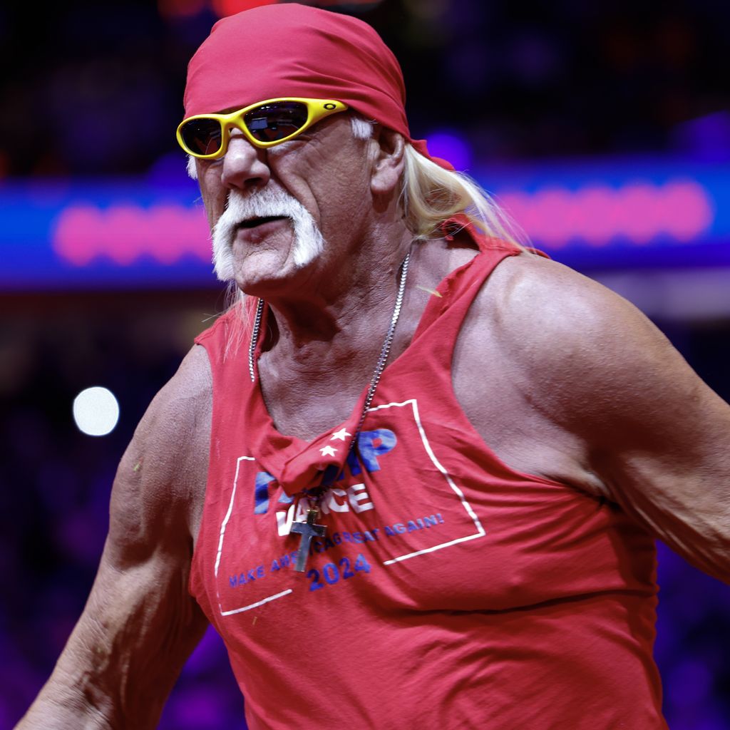 Hulk Hogan, Wrestler